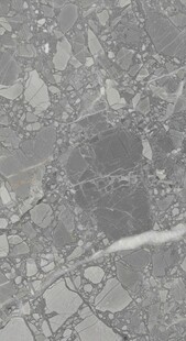 城市卫星图像俯瞰图