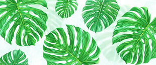 北欧龟背叶植物玻璃背景墙