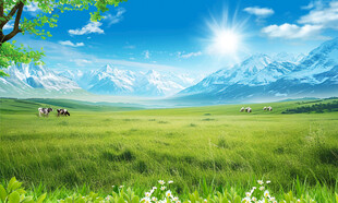 蓝天白云大草原