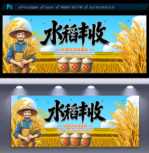 水稻丰收