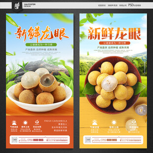 龙眼海报