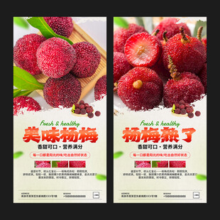 杨梅海报