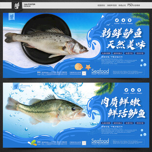 鲈鱼