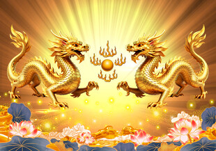 金龙