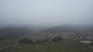 雾中乡村景色