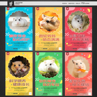 仓鼠