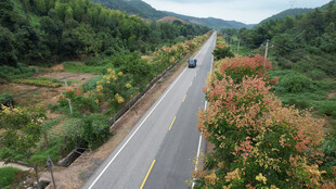山间公路美景