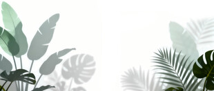 雾气磨砂膜效果绿植贴图