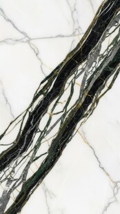 黑色丝状物体特写