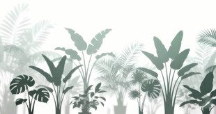 雾气磨砂膜效果绿植贴图