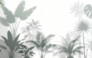 雾气磨砂膜效果绿植贴图