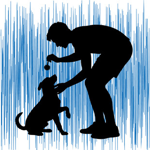 人与狗互动的温馨瞬间