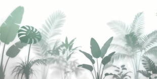 雾气磨砂膜效果绿植贴图