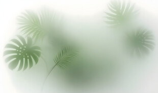 雾气磨砂膜效果绿植贴图