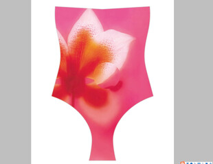 粉色花朵图案女士内裤