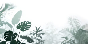 雾气磨砂膜效果绿植贴图