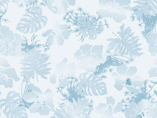 蓝白植物花纹背景图