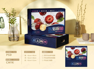 杨梅包装礼盒