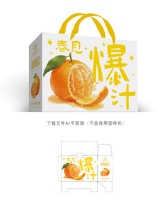耙耙柑包装