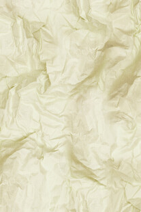 米白色褶皱纹理面料