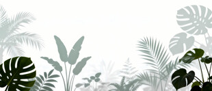 雾气磨砂膜效果绿植贴图