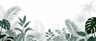 雾气磨砂膜效果绿植贴图