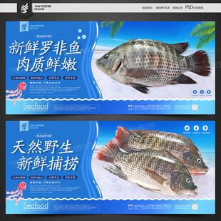 福寿鱼 罗非鱼