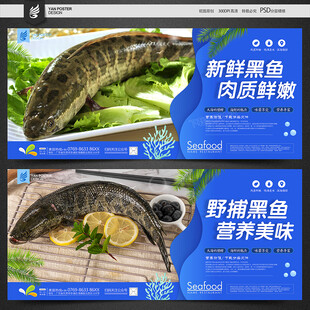 黑鱼