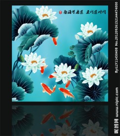无框画荷花鲤鱼图