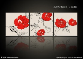 素雅花纹无框画