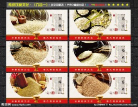 饮食文化