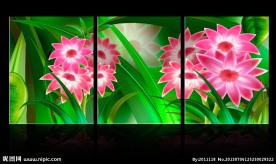 唯美鲜花无框画