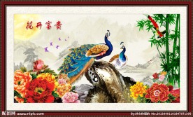 花开富贵