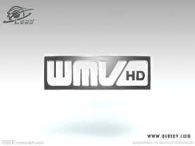 婚礼视频素材下载