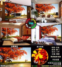 秋天风景背景墙