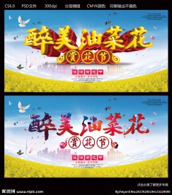 油菜花