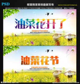油菜花