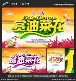 油菜花