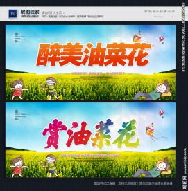 油菜花