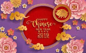 2019春节猪年剪纸风格海报