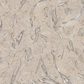 贝壳石纹通道分色