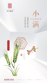 节气-小满