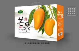 芒果包装
