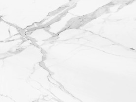 酒店新大气鱼肚白 tif合层