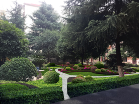 绿化改造景观设计效果图