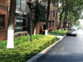 绿篱景观设计效果图