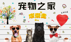 宠物之家