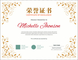 荣誉证书时尚横版证书