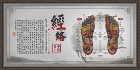 中医养生 经络