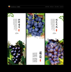 葡萄 葡萄海报 提子 葡萄采摘